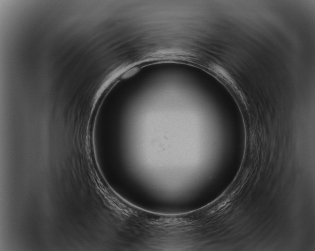 X0000052651336200507160213