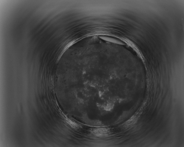 X0000052651337200507160213