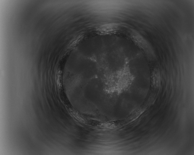 X0000052651346200507160212