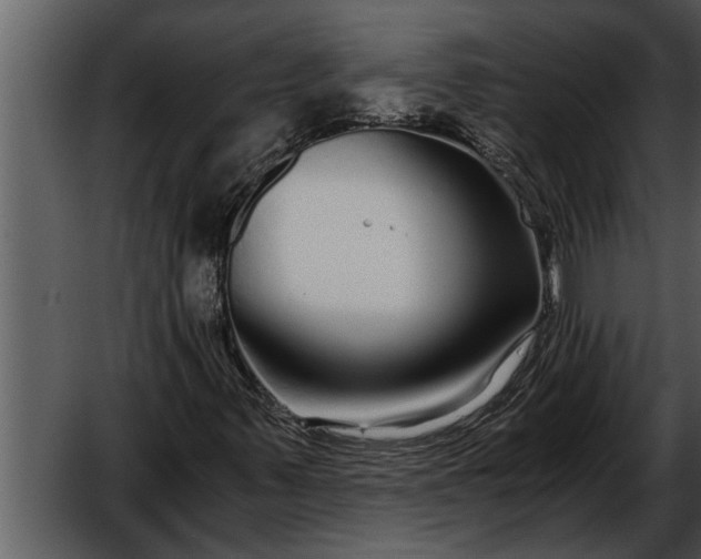 X0000052651347200507160212
