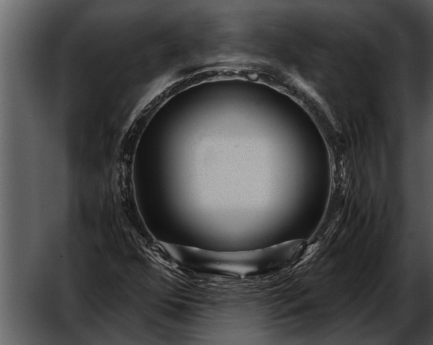 X0000052651352200507160212