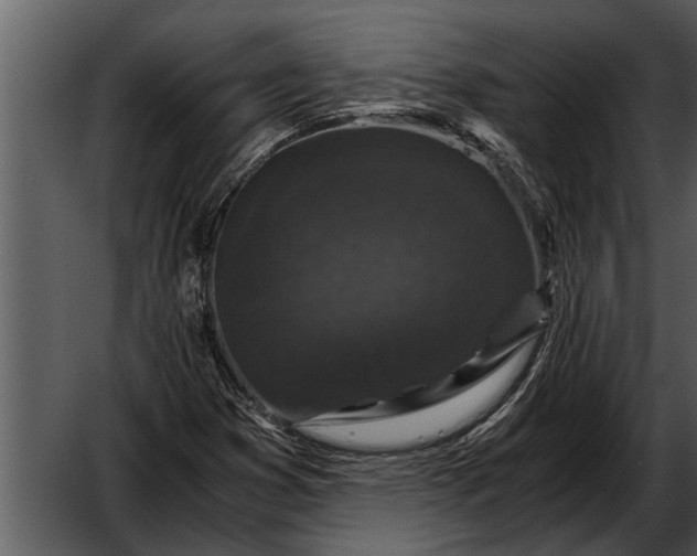 X0000052651353200507160212
