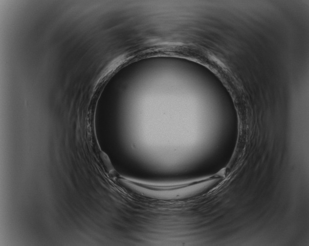 X0000052651354200507160212