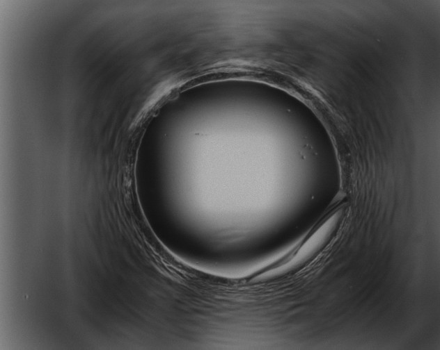X0000052651355200507160212