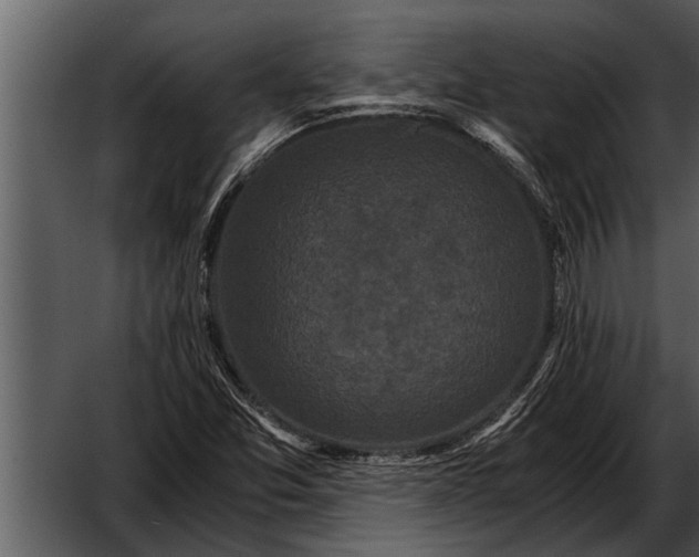 X0000052651357200507160212