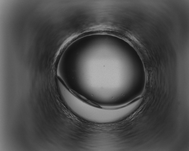 X0000052651358200507160212