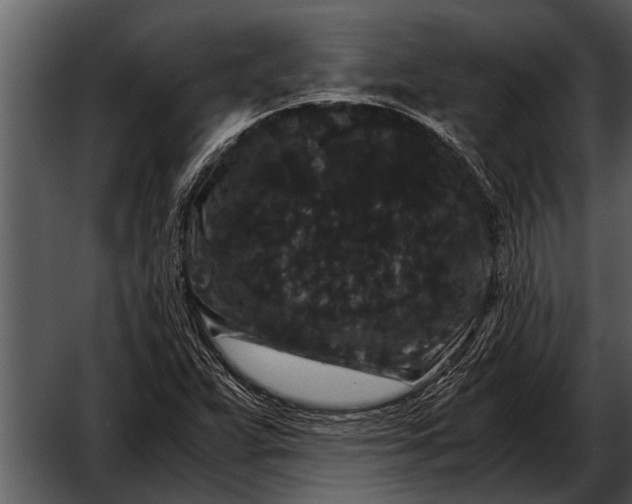 X0000052651359200507160212