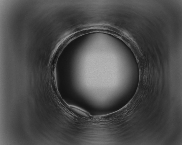 X0000052651360200507160212