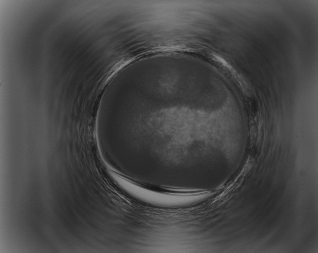 X0000052651361200507160212