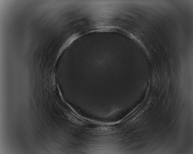 X0000052651362200507160212