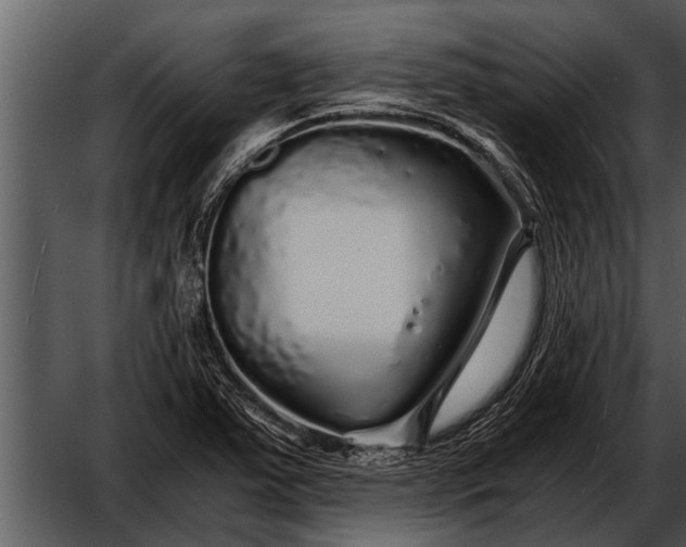 X0000052651363200507160212