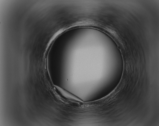 X0000052651366200507160212