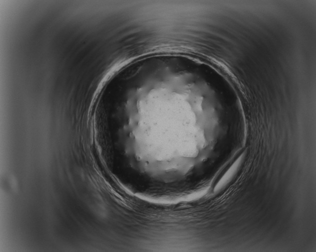 X0000052651371200507160212