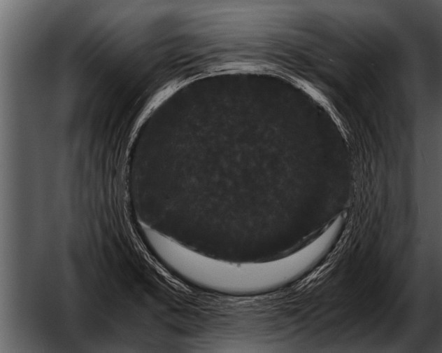 X0000052651373200507160212