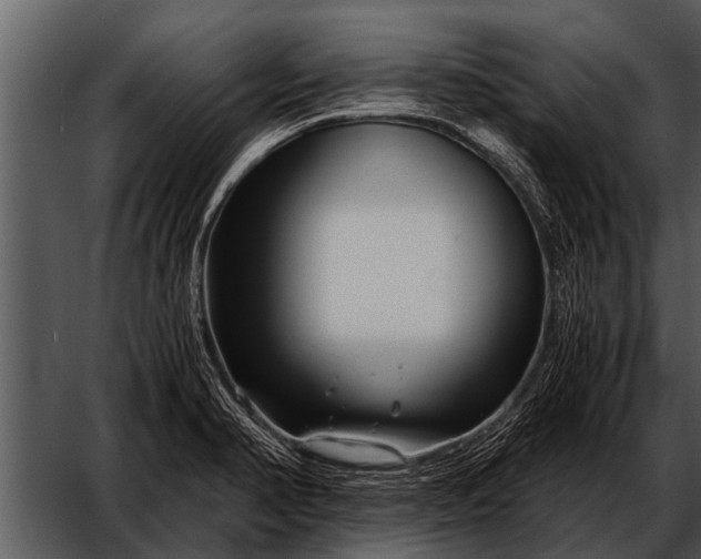 X0000052651374200507160212
