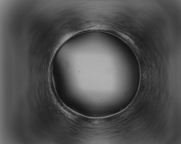 X0000052651375200507160212