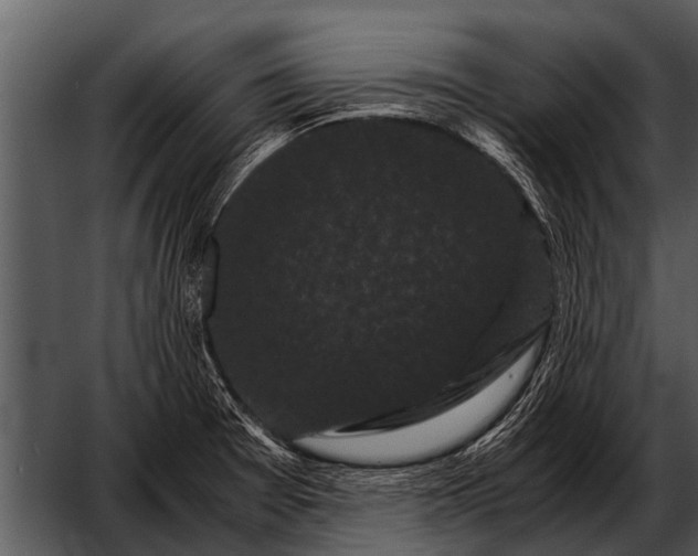 X0000052651377200507160212