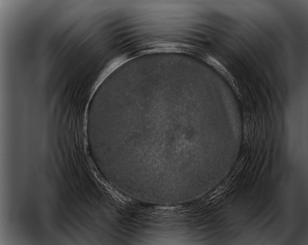X0000052651378200507160212