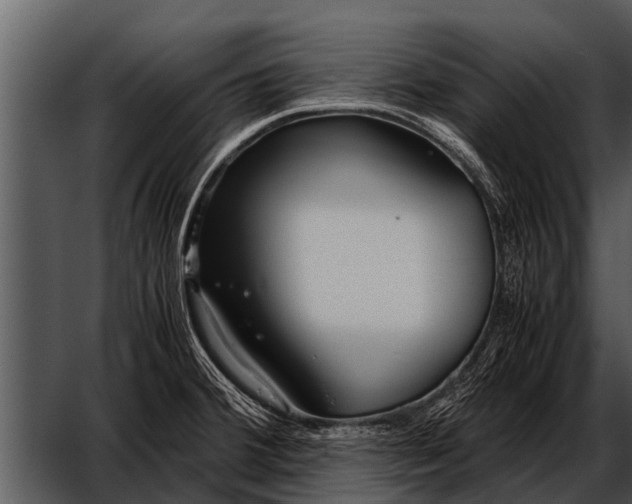 X0000052651380200507160212