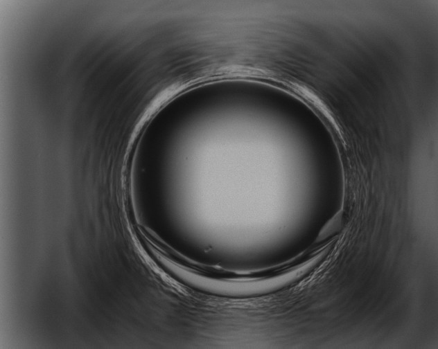 X0000052651381200507160212