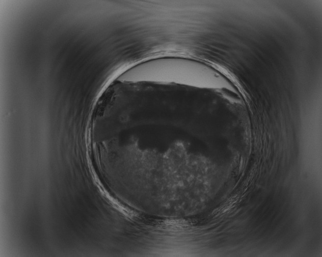X0000052651383200507160212