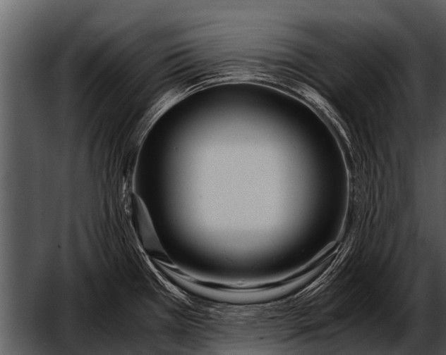 X0000052651385200507160212