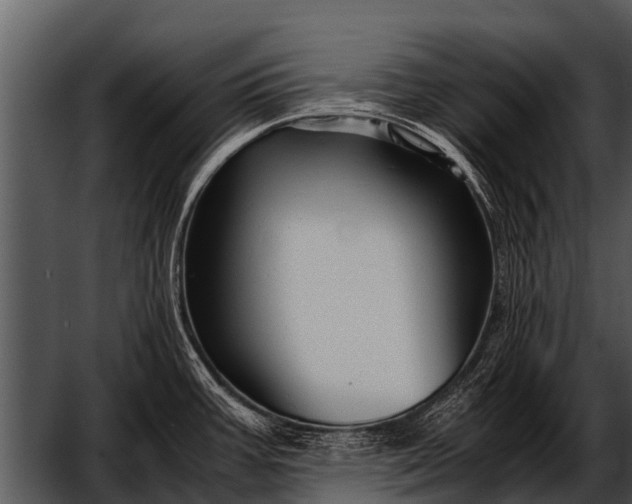 X0000052651387200507160211