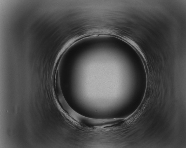 X0000052651389200507160211