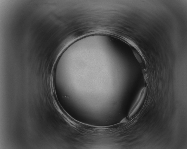 X0000052651391200507160211
