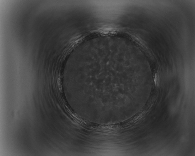 X0000052651396200507160211