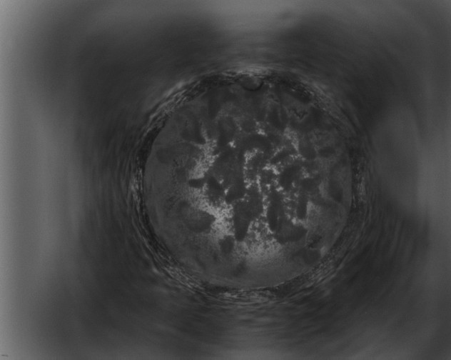 X0000052651397200507160211