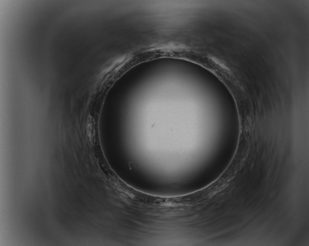 X0000052651398200507160211
