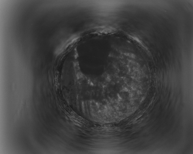 X0000052651399200507160211