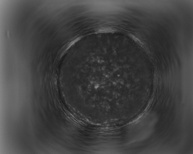 X0000052651401200507160211