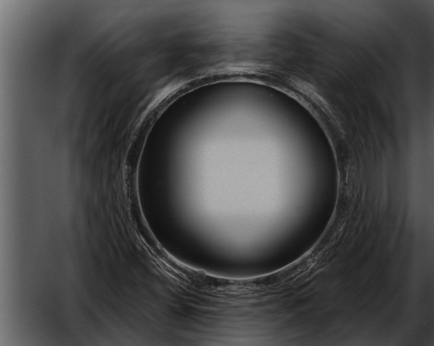 X0000052651404200507160211