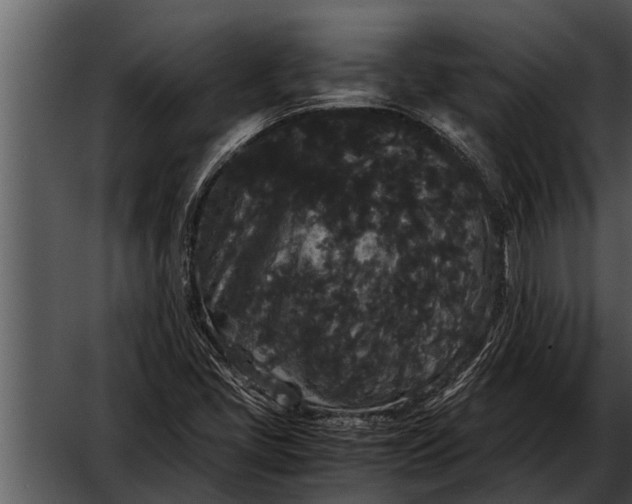 X0000052651405200507160211