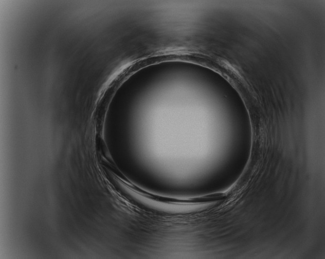 X0000052651406200507160211