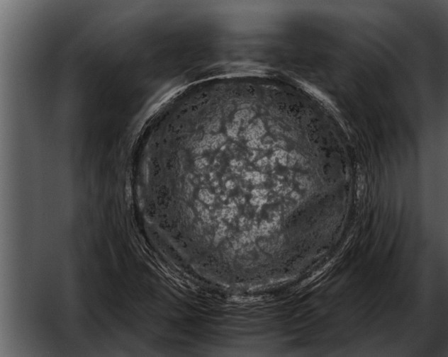 X0000052651407200507160211