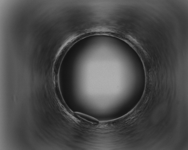 X0000052651408200507160211