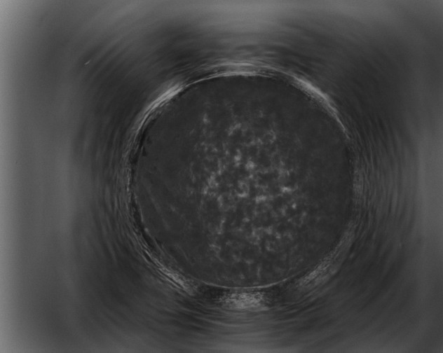 X0000052651411200507160211