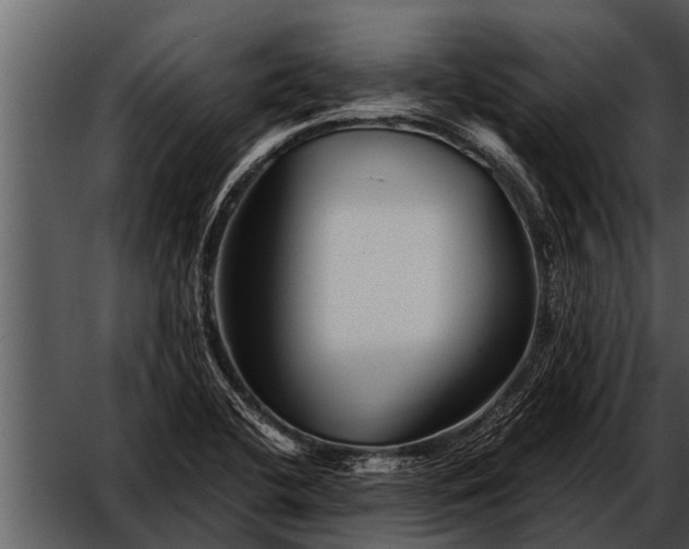 X0000052651412200507160211