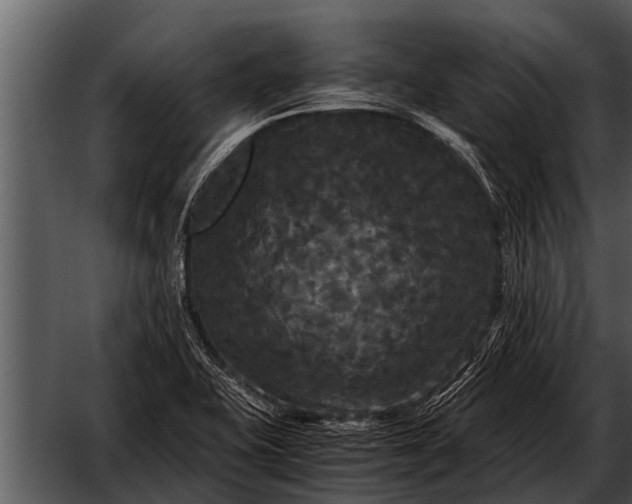 X0000052651415200507160211