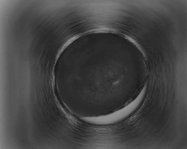 X0000052651418200507160211