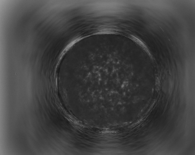 X0000052651419200507160211