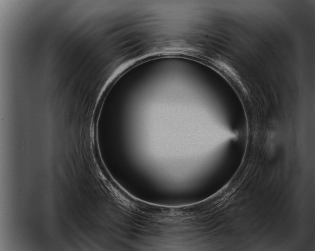 X0000052651420200507160211