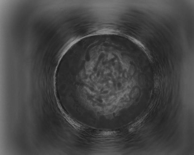 X0000052651423200507160211