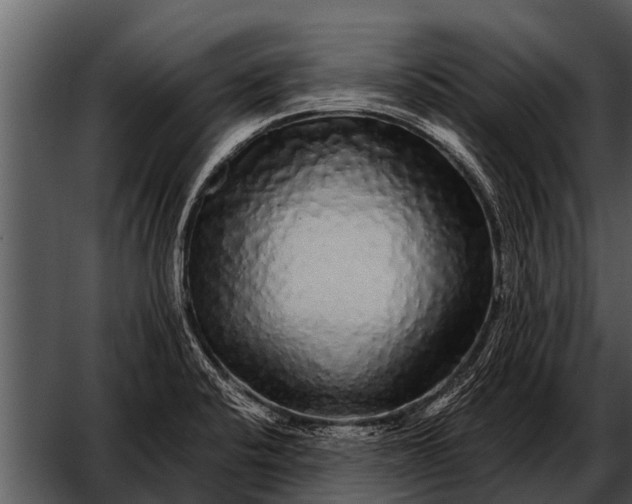X0000052651424200507160211