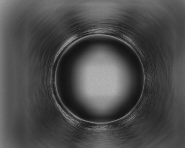 X0000052651426200507160211