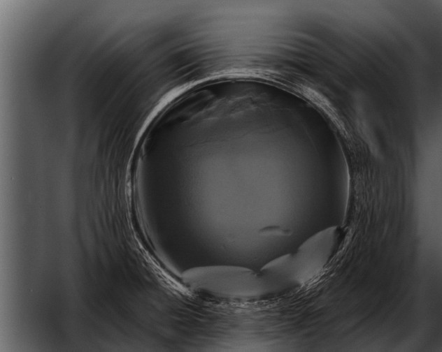 X0000052651428200507160211