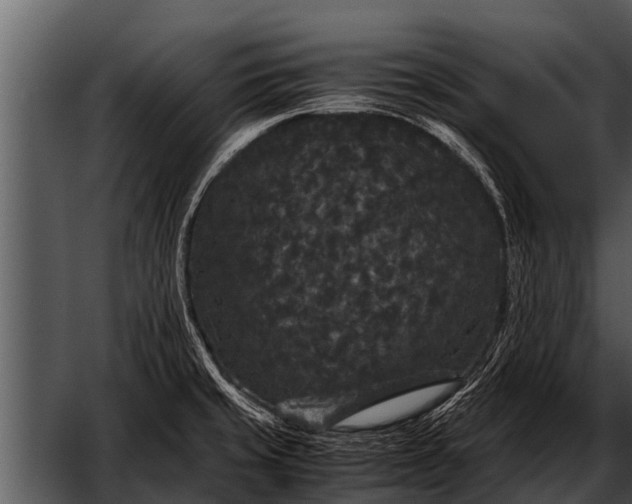 X0000052651429200507160211